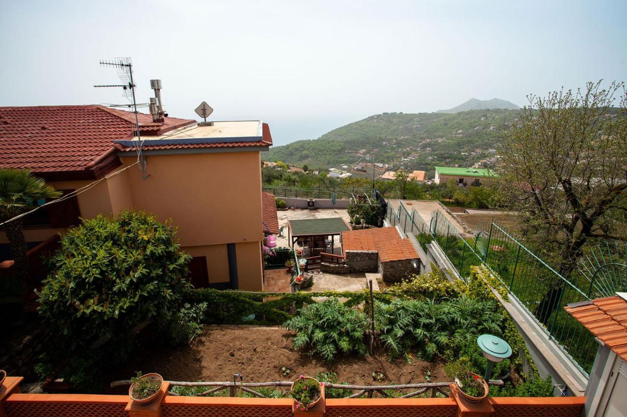 Casa Nicolo Villa Massa Lubrense Dış mekan fotoğraf